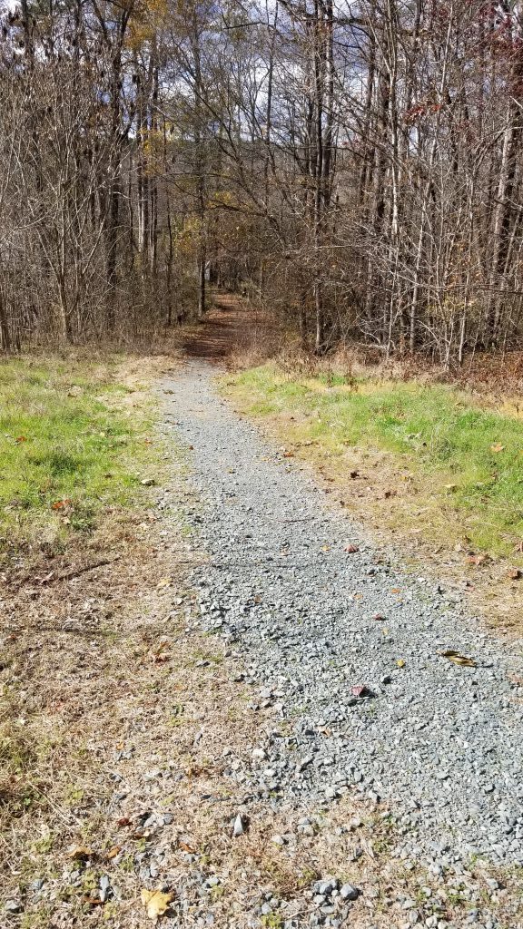 Lower Haw River access area trail 1024x576up