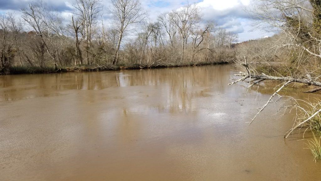 Lower Haw River water