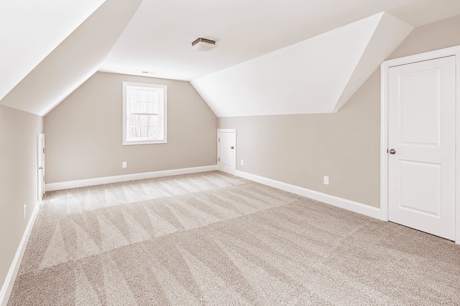 Bonus Room — Abbie