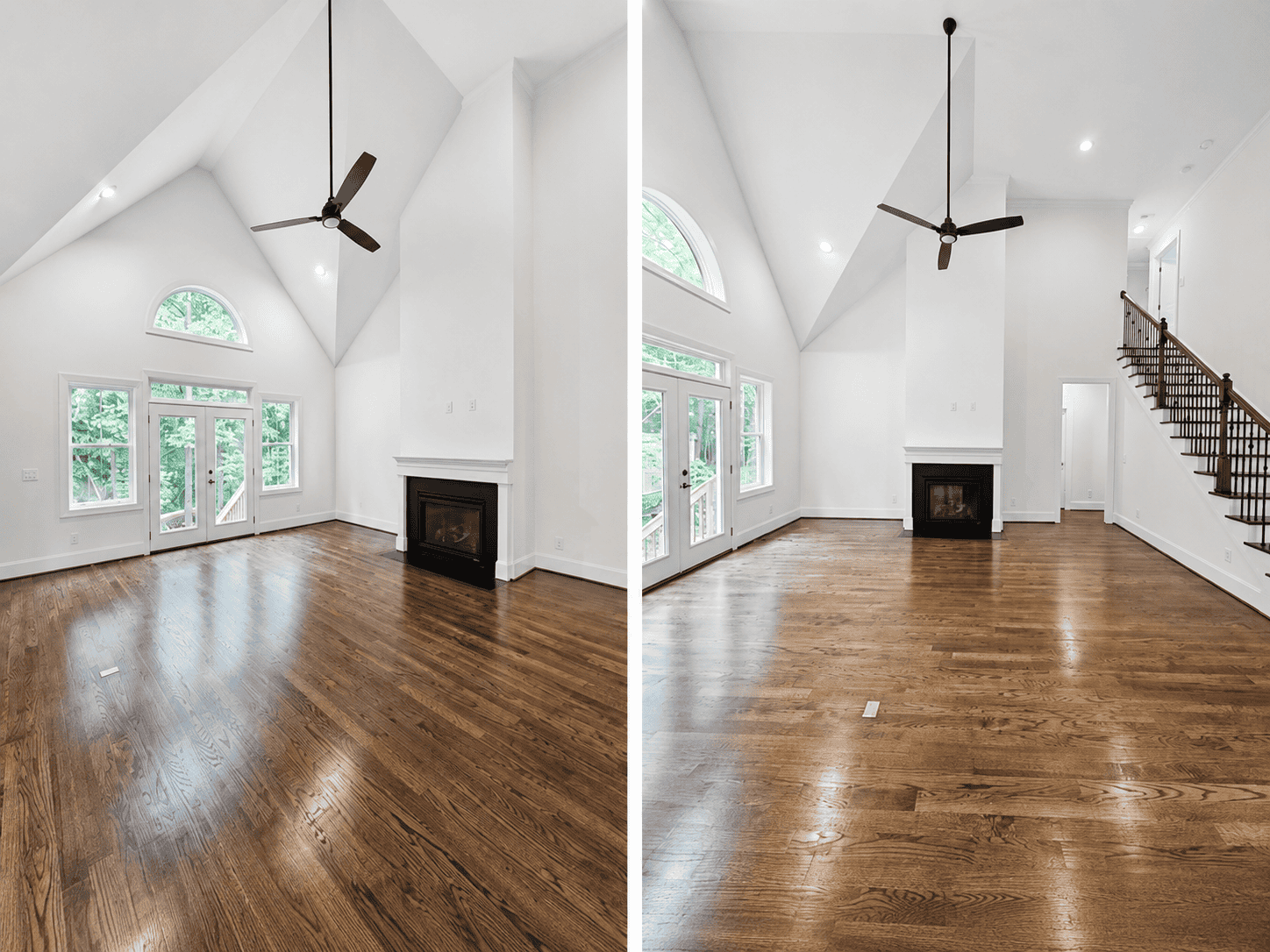 Living Room — Holly Fern