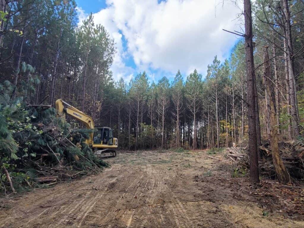 Fox Oak trail progress land