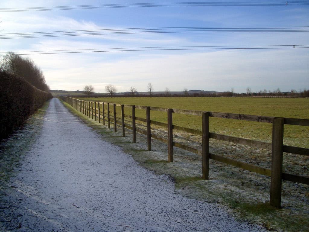 Field and fence