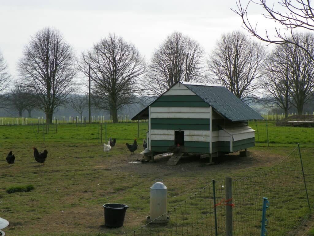 Goc much hadham chicken coop