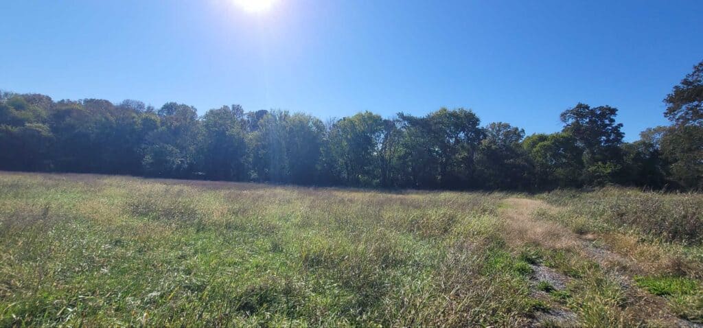 Lot land field
