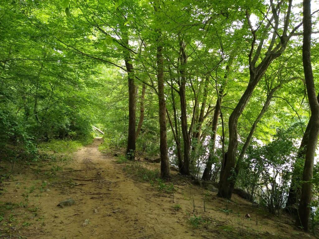 Lower Haw River trail