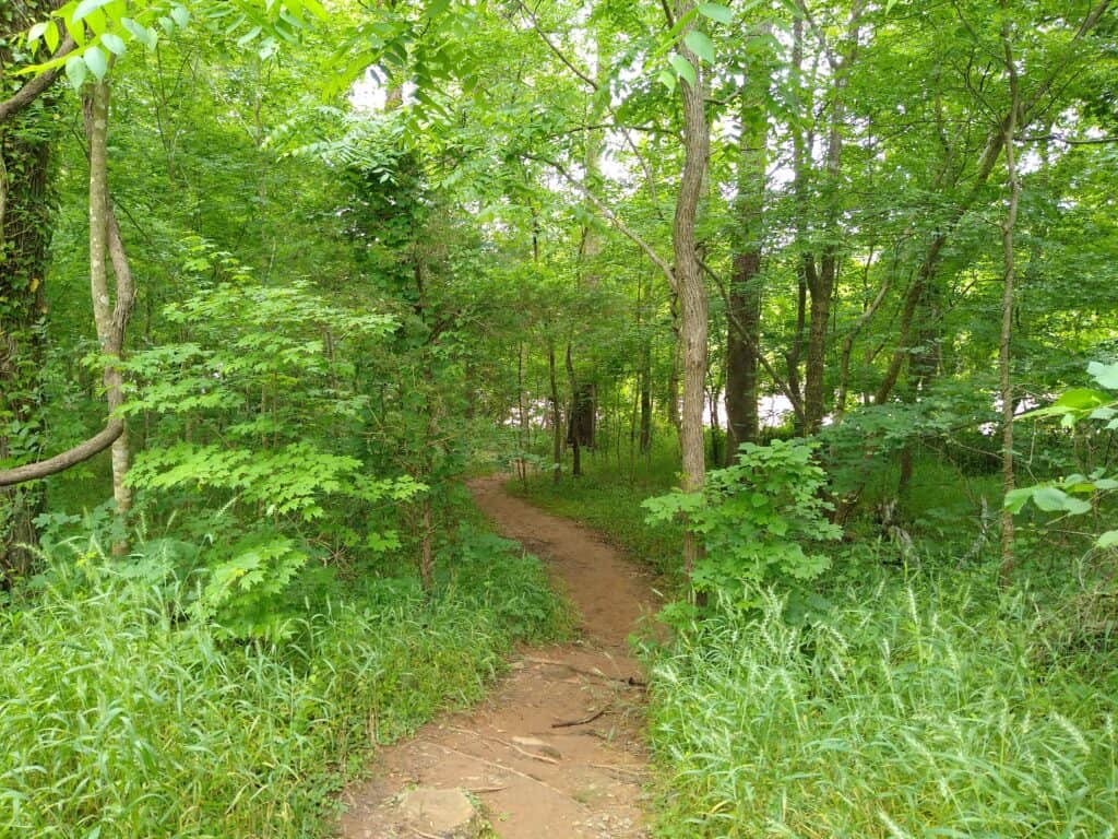 Lower Haw River trail