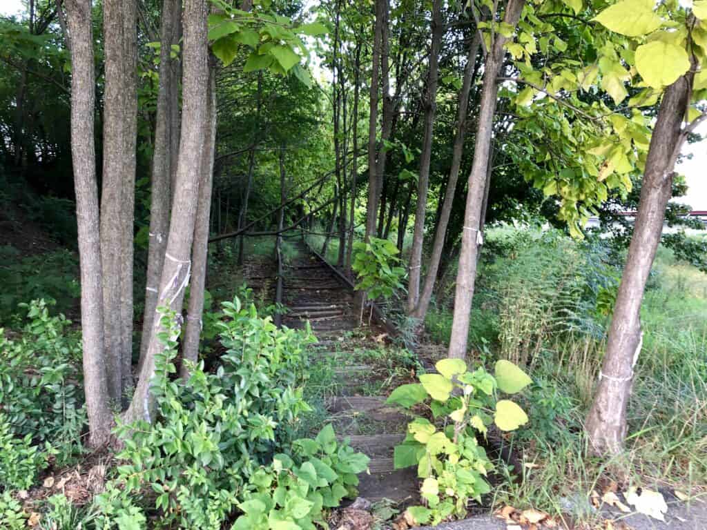 Overgrown rail line corporation street old north durham durham NC