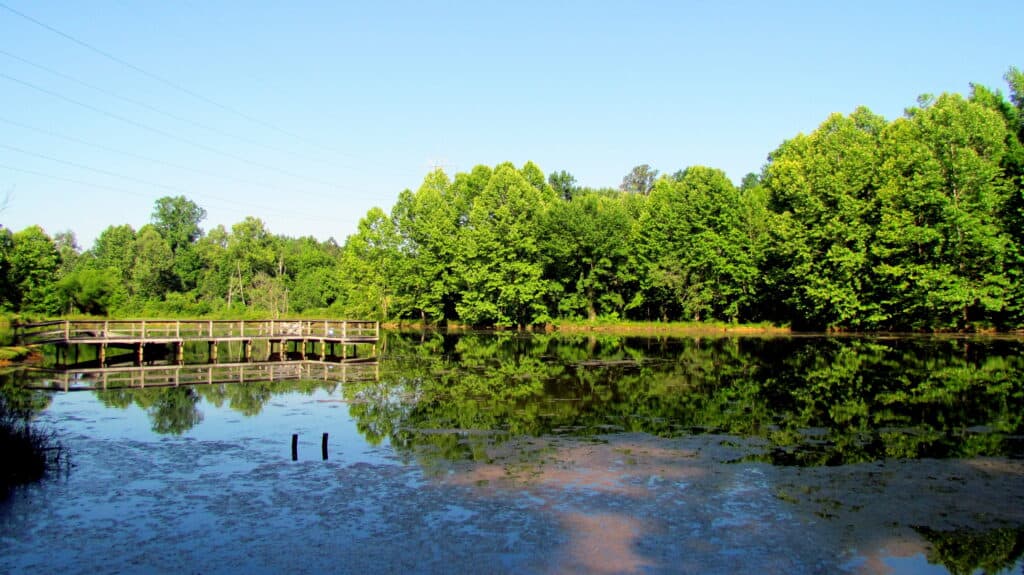 Pond Brumley Forest tlc Chapel Hill NC