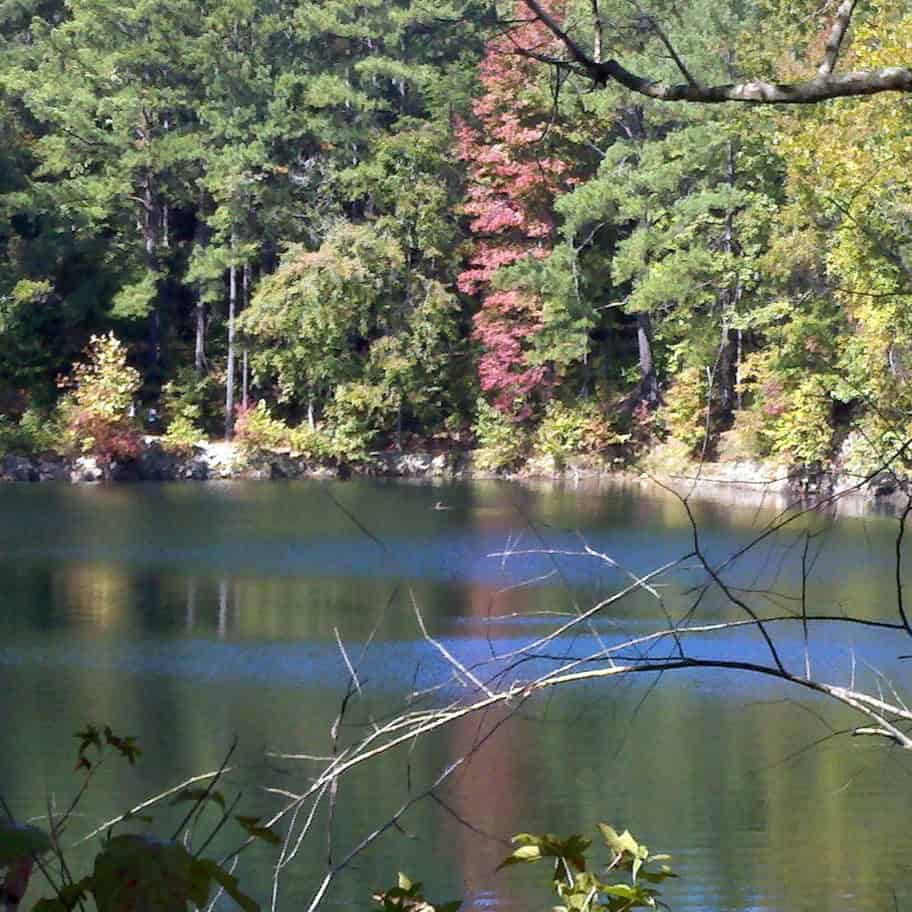 Quarry Pond eno River state Park NC
