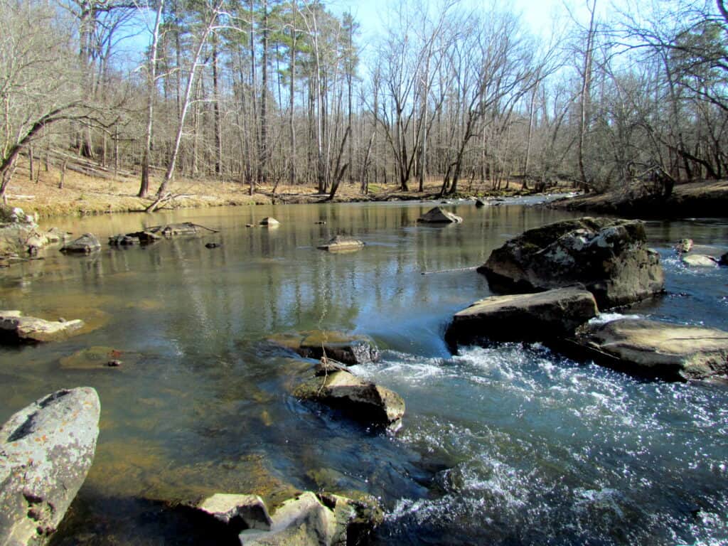 River Laurel Bluff trail eno River