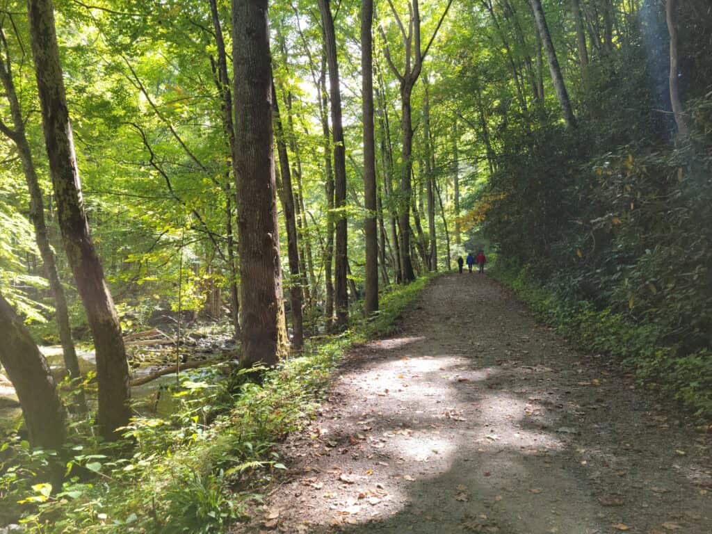 Walking trail
