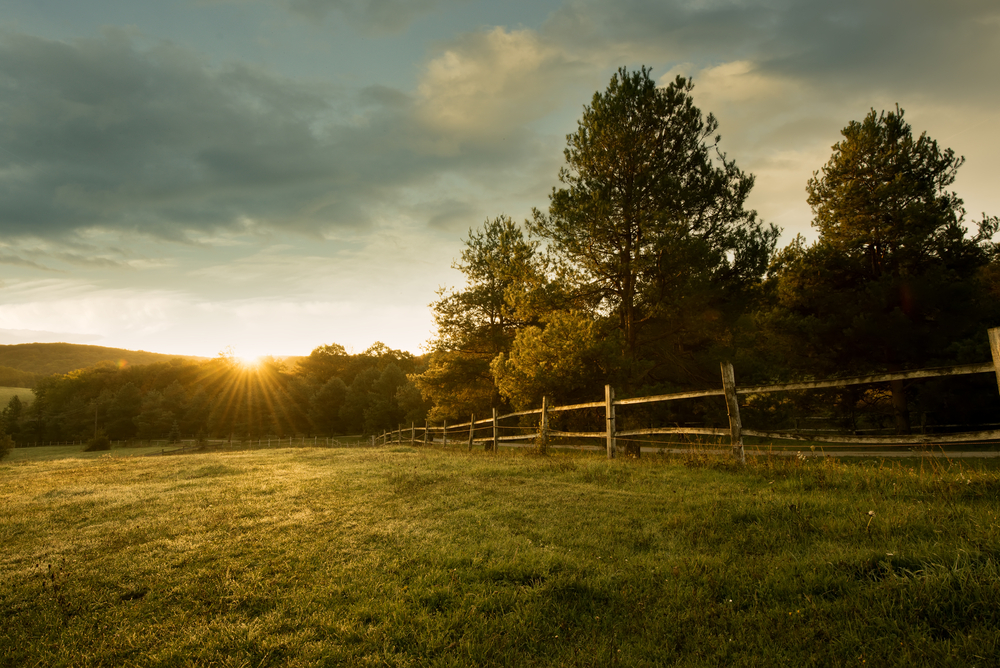 How to build a new home in North Carolina